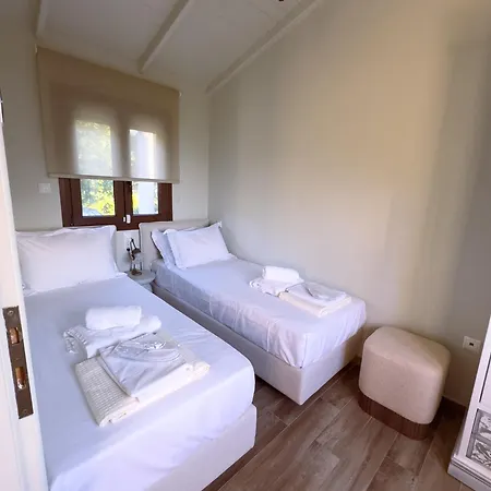 Millstone Summerhouse 公寓 帕奇斯