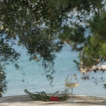 Daire Millstone Summerhouse Pachis (Thasos)